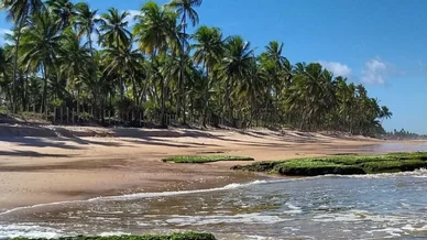 Festival Tempero no Forte celebra Costa dos Coqueiros em 17ª edição